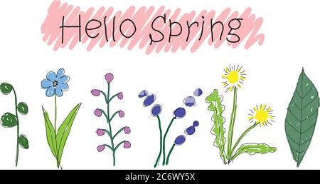 jolie fleur en forme de caniche avec signe manuscrit hello spring, pissenlit Illustration de Vecteur