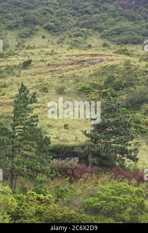 Le pic Riverston situé dans les collines centrales du Sri Lanka peut être atteint en voyageant environ 178 km de Colombo. Riverston offre certaines des meilleures vues sur la campagne environnante, dans la mesure où elle est appelée le Mini World’s End. La région offre la beauté naturelle du Sri Lanka; frais, vert et non pollué par les vendeurs, les touristes, les ordures et les bâtiments peu esthétiques. Banque D'Images