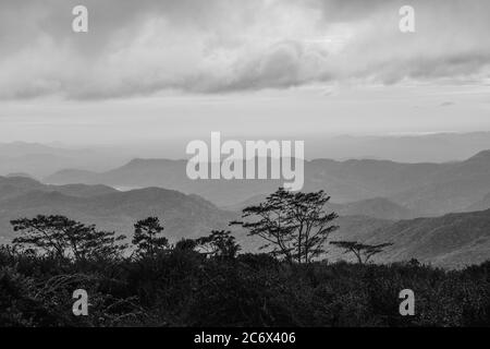 La vue magnifique n'a jamais été vue. Le pic Riverston situé dans les collines centrales du Sri Lanka peut être atteint en voyageant environ 178 km de Colombo. Riverston offre certaines des meilleures vues sur la campagne environnante, dans la mesure où elle est appelée le Mini World’s End. La région offre la beauté naturelle du Sri Lanka; frais, vert et non pollué par les vendeurs, les touristes, les ordures et les bâtiments peu esthétiques. Banque D'Images