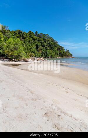 Plage dans le parc national de Penang, Teluk Bahang, Penang, Malaisie Banque D'Images