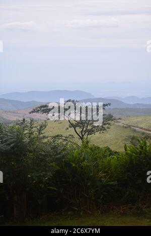 Le pic Riverston situé dans les collines centrales du Sri Lanka peut être atteint en voyageant environ 178 km de Colombo. Riverston offre certaines des meilleures vues sur la campagne environnante, dans la mesure où elle est appelée le Mini World’s End. La région offre la beauté naturelle du Sri Lanka; frais, vert et non pollué par les vendeurs, les touristes, les ordures et les bâtiments peu esthétiques. Banque D'Images