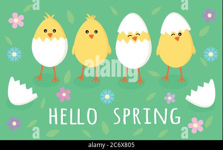 Carte de vœux de printemps avec quatre mignons petits poussins jaunes dans des œufs craqués, coquillage, fleurs et feuilles avec signe Hello Spring, vector eps10 graphique. Illustration de Vecteur