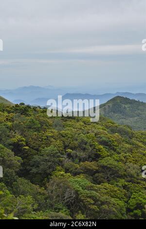 Le pic Riverston situé dans les collines centrales du Sri Lanka peut être atteint en voyageant environ 178 km de Colombo. Riverston offre certaines des meilleures vues sur la campagne environnante, dans la mesure où elle est appelée le Mini World’s End. La région offre la beauté naturelle du Sri Lanka; frais, vert et non pollué par les vendeurs, les touristes, les ordures et les bâtiments peu esthétiques. Banque D'Images