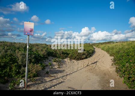 Sentier sablonneux à travers les dunes de Den Haag, Hollande Banque D'Images