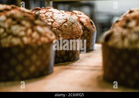 Cuisson d'un groupe de panettone italien gâteau de noël sucré dans four pro Banque D'Images