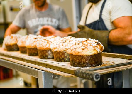 Chef pâtissier préparant des gâteaux de noël italiens dans la boulangerie Banque D'Images