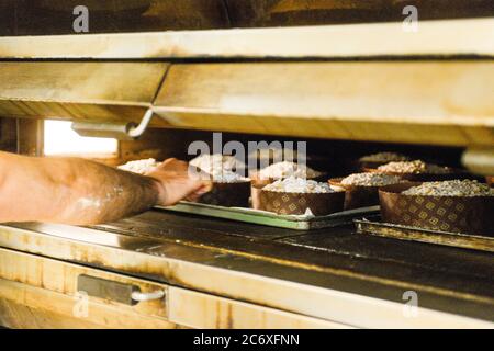 Cuisson d'un groupe de panettone italien gâteau de noël sucré dans four pro Banque D'Images