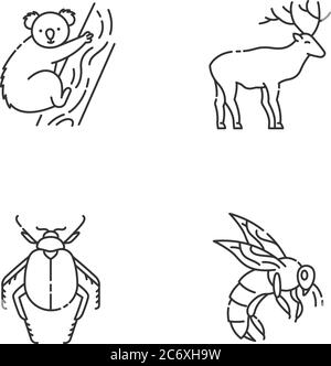 Ensemble d'icônes linéaires de pixels de mammifères et d'insectes. Koala, cerf de forêt, scarabée et abeille symboles de contour mince personnalisables. Baie isolée Illustration de Vecteur