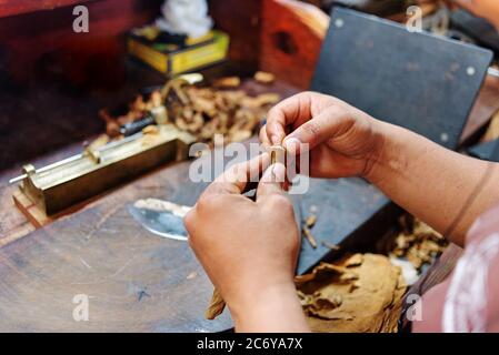 Closeup of hands décisions cigare de feuilles de tabac. Fabrication de cigares traditionnels. République Dominicaine Banque D'Images