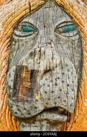 Gros plan de la sculpture de la tête de lion peinte à la main en bois. Rugosité et tête de bois endommagée du roi des animaux - lion Banque D'Images