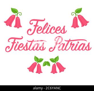 Felices Fiestas Patrias, espagnol pour les fêtes nationales joyeuses. Dieciocho, jour de l'indépendance du Chili. Lettrage de texte avec Copihue, flux national chilien Illustration de Vecteur