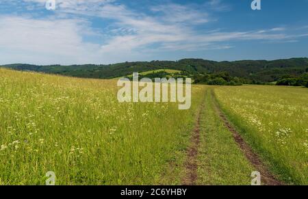 Belles montagnes Bile Karpaty avec mélange de prairies, collines et forêt sur les frontières tchèques - slovakiennes au-dessus du village Nedasova Lota en République tchèque Banque D'Images