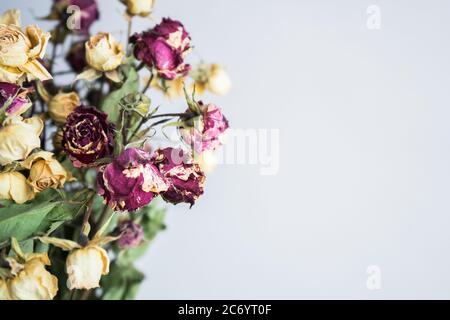 Petites roses rouges et jaunes séchées sur fond gris-blanc. Bouquet de fleurs Banque D'Images