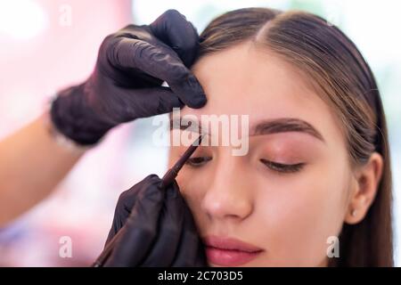 L'artiste maquilleur applique le maquillage des sourcils. Belle femme visage. Banque D'Images