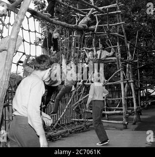 Années 1960, historique, extérieur dans une aire de jeux, les écoliers grimpent des échelles en corde sur un cadre ou une structure en bois fait à la main, dans un espace extérieur à une école d'embarquement d'État des garçons de Londres, Lewisham, South London, Banque D'Images