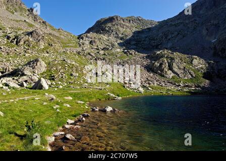 Lac de Fenestre dans le Parc National du Mercantour en haute Vésubie en été en France Banque D'Images