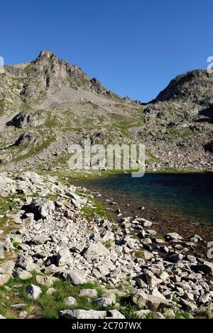 Lac de Fenestre dans le Parc National du Mercantour en haute Vésubie en été en France Banque D'Images