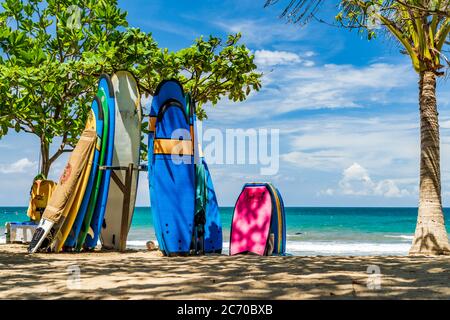 KUTA BALI - INDONÉSIE, FÉVRIER 7 : planches de surf sur la célèbre plage de Kuta à Bali Indonésie 7 février 2020 Banque D'Images