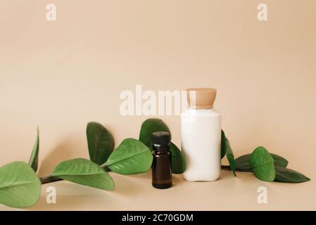 Ensemble cosmétique de deux bouteilles pour l'emballage de la crème et de l'huile pour les soins de la peau sur un fond beige avec des feuilles vertes. Le concept d'un pro organique Banque D'Images