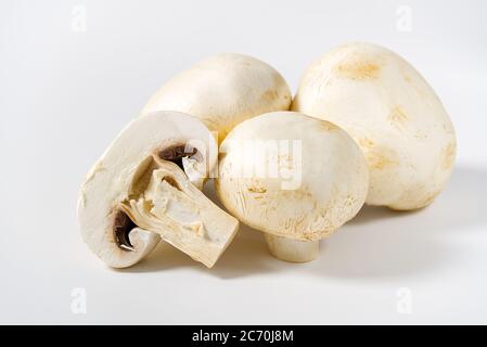 Champignons frais macro pousse. Gros plan de champagnes blancs tranchés. Banque D'Images