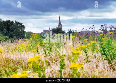 Chuch de St Matthew vu de Bradrigh Fields, Northampton, Angleterre, Royaume-Uni. Banque D'Images