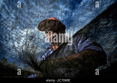 Salvador Cordero, l'agriculteur qui est en charge de la mémoire d'olive, tire un bénéfice net pour recueillir les olives qui sont à l'arbre après le frapper avec leurs poteaux en fibre de carbone dans un champ près de Riogordo. Date : 30/03/2016. Photographe : Xabier Mikel Laburu. Salvador a toujours travaillé dans le domaine, lui et son frère Antonio louer plusieurs champs d'oliviers à Riogordo depuis l'époque de leur père. Ils recueillent les olives et prendre soin de tous les aspects relatifs à la conservation de ces champs et c'est la récolte, en échange de leurs services de location et de travail acharné, tous les fruits c'est colle Banque D'Images