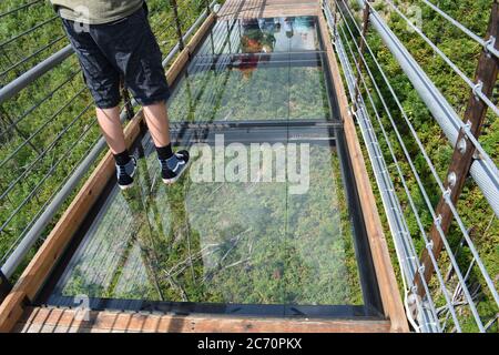 Garçon debout sur des panneaux de verre au sol du Skybridge piétonnier dans les Smoky Mountains à Gatlinburg, TN, qui a ouvert ses portes en 2019 Banque D'Images