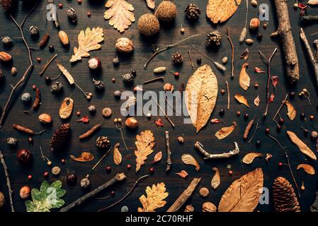 Vue du dessus plat de la saison d'automne arrangement décoratif avec des feuilles sèches, des noix et des branches Banque D'Images