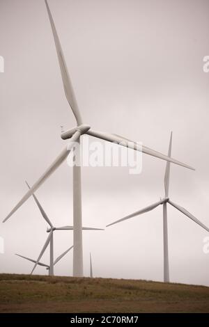 Whitelee, Écosse, Royaume-Uni. 13 juillet 2020. Photo : Scottish Power renouvelables parc éolien à Whitelee dans Ayrshire, vu par une journée humide et venteuse avec des nuages bas masquant certaines des pales de turbine qui semblent coller dans le nuage bas. Les éoliennes sont-elles vertes ? Les lames ne sont pas recyclables actuellement, mais davantage d'investissements sont nécessaires pour atteindre les objectifs d'énergie verte des Scotlands et du Royaume-Uni. Crédit : Colin Fisher/Alay Live News Banque D'Images