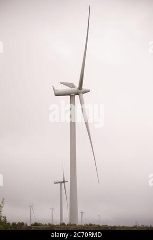 Whitelee, Écosse, Royaume-Uni. 13 juillet 2020. Photo : Scottish Power renouvelables parc éolien à Whitelee dans Ayrshire, vu par une journée humide et venteuse avec des nuages bas masquant certaines des pales de turbine qui semblent coller dans le nuage bas. Les éoliennes sont-elles vertes ? Les lames ne sont pas recyclables actuellement, mais davantage d'investissements sont nécessaires pour atteindre les objectifs d'énergie verte des Scotlands et du Royaume-Uni. Crédit : Colin Fisher/Alay Live News Banque D'Images