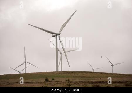 Whitelee, Écosse, Royaume-Uni. 13 juillet 2020. Photo : Scottish Power renouvelables parc éolien à Whitelee dans Ayrshire, vu par une journée humide et venteuse avec des nuages bas masquant certaines des pales de turbine qui semblent coller dans le nuage bas. Les éoliennes sont-elles vertes ? Les lames ne sont pas recyclables actuellement, mais davantage d'investissements sont nécessaires pour atteindre les objectifs d'énergie verte des Scotlands et du Royaume-Uni. Crédit : Colin Fisher/Alay Live News Banque D'Images