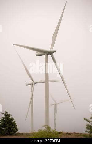 Whitelee, Écosse, Royaume-Uni. 13 juillet 2020. Photo : Scottish Power renouvelables parc éolien à Whitelee dans Ayrshire, vu par une journée humide et venteuse avec des nuages bas masquant certaines des pales de turbine qui semblent coller dans le nuage bas. Les éoliennes sont-elles vertes ? Les lames ne sont pas recyclables actuellement, mais davantage d'investissements sont nécessaires pour atteindre les objectifs d'énergie verte des Scotlands et du Royaume-Uni. Crédit : Colin Fisher/Alay Live News Banque D'Images