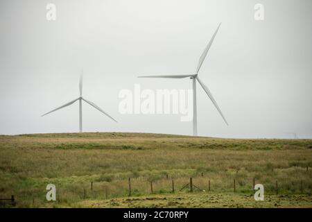 Whitelee, Écosse, Royaume-Uni. 13 juillet 2020. Photo : Scottish Power renouvelables parc éolien à Whitelee dans Ayrshire, vu par une journée humide et venteuse avec des nuages bas masquant certaines des pales de turbine qui semblent coller dans le nuage bas. Les éoliennes sont-elles vertes ? Les lames ne sont pas recyclables actuellement, mais davantage d'investissements sont nécessaires pour atteindre les objectifs d'énergie verte des Scotlands et du Royaume-Uni. Crédit : Colin Fisher/Alay Live News Banque D'Images