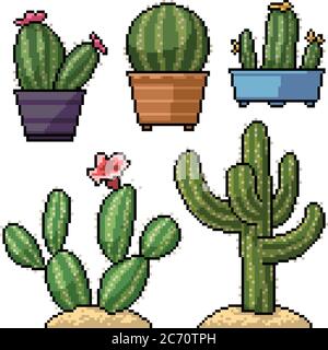 pixel art set isolé cactus décoration Illustration de Vecteur