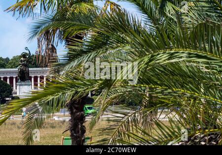 Munich, Allemagne. 13 juillet 2020. Une petite oasis de sable avec 13 palmiers (palmiers dattiers, ventilateurs et chanvre) et 30 chaises longues ont été construites sur une partie de la Theresienwiese par l'association environnementale Green City et la ville de Munich. En arrière-plan, vous pouvez voir la Bavière, qui donne sur la région. À cette époque de l'année, l'Oktoberfest est déjà en plein essor et doit être annulée cette année en raison de la crise de la couronne. Crédit : Peter Kneffel/dpa/Alay Live News Banque D'Images