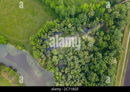 Marais de la Morava depuis la vue de dessus en bas. Banque D'Images