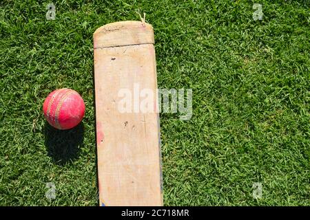 Batte de cricket et balle isolée sur un terrain de jeu.