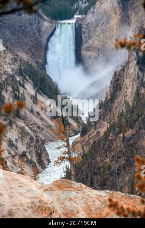 Cascades incroyables dans le parc national de Yellowstone, Wyoming. Banque D'Images