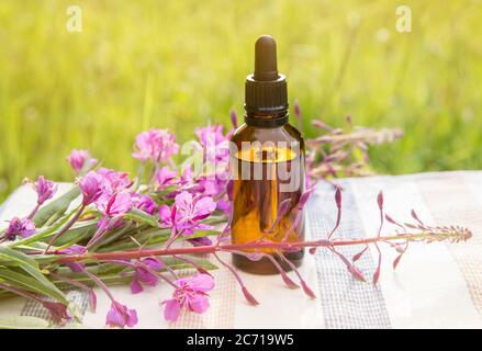 Bouquet de Chamaenerion angustifolium, pompier, grande wlowherb, rosebay willowherb, Saint Anthony's Laurel : fleur médicinale à base de plantes roses avec. Banque D'Images