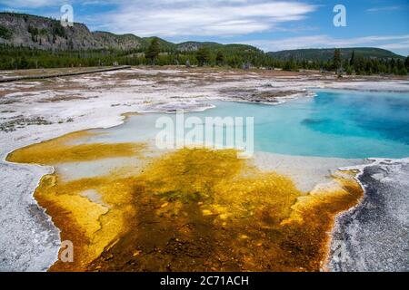 Piscines de Biscuit Basin dans le parc national de Yellowstone. Banque D'Images