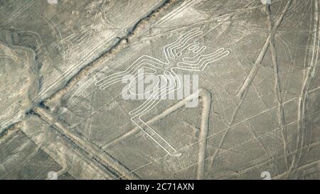 Nazca, Pérou - août 2017: La figure araignée comme vu dans les lignes Nasca Banque D'Images