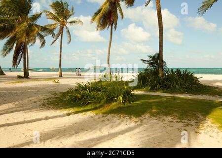 Archipel de san andres, providencia et santa catalina, Colombie, Amérique du Sud - plage principale à l'île de San Andres Banque D'Images