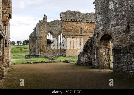 Vue intérieure de l'abbaye d'Egglestone près du château de Barnard, Teesdale, comté de Durham, Royaume-Uni Banque D'Images