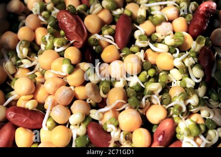 Groupe de grains. Collecte de légumineuses (pois verts, haricots verts, rein rouge, pois secs) dans un bol. Tas de différentes légumineuses. Banque D'Images