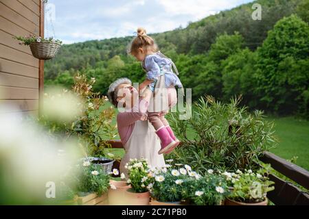 Grand-mère senior avec petite-fille jardinant sur balcon en été. Banque D'Images