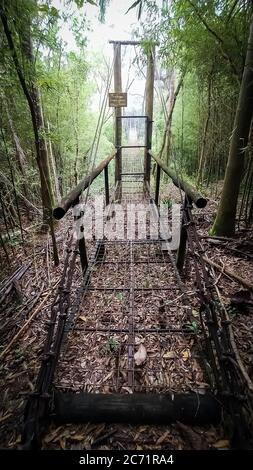 Incroyable pont de fer suspendu au milieu de la jungle. Entrée en bois. Chemin solitaire. Scène brumeuse Banque D'Images