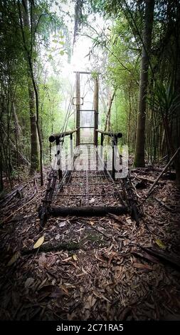 Incroyable pont de fer suspendu au milieu de la jungle. Entrée en bois. Chemin solitaire. Scène brumeuse Banque D'Images