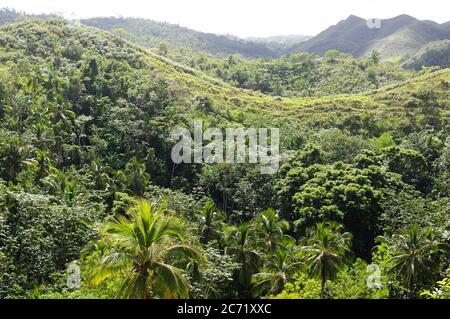 La vue sur les collines couvertes de verdure, Samana, République dominicaine. Banque D'Images