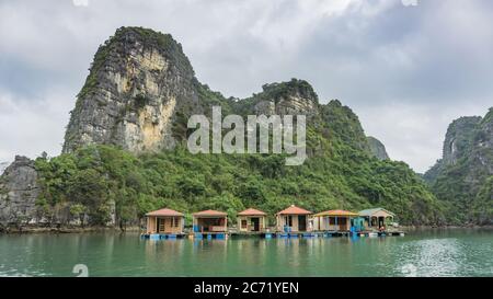 Ha long Bay, Vietnam - 02 décembre 2015 : village de pêche flottant et îles rocheuses dans la baie de Halong, Vietnam, Asie du Sud-est. Patrimoine mondial de l'UNESCO Banque D'Images