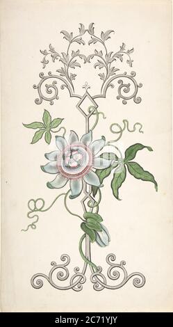 Design pour panneau décoratif centré sur une fleur de la passion, 1828-40. Banque D'Images